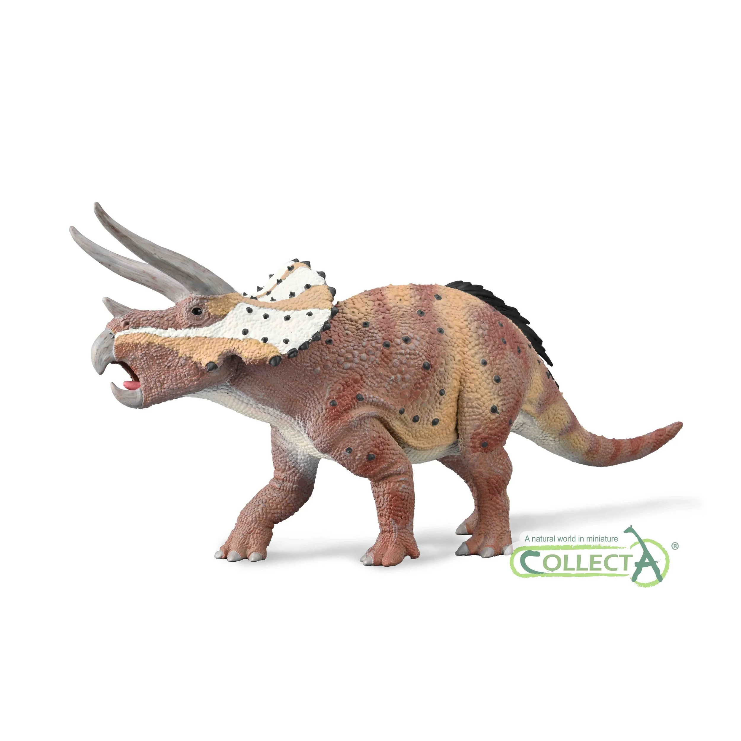 Triceratops horridus (88950) - new for 2022 - from CollectA